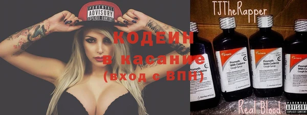 ECSTASY Алзамай
