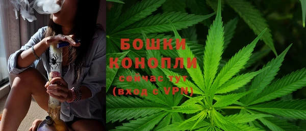 ГАЛЛЮЦИНОГЕННЫЕ ГРИБЫ Абдулино