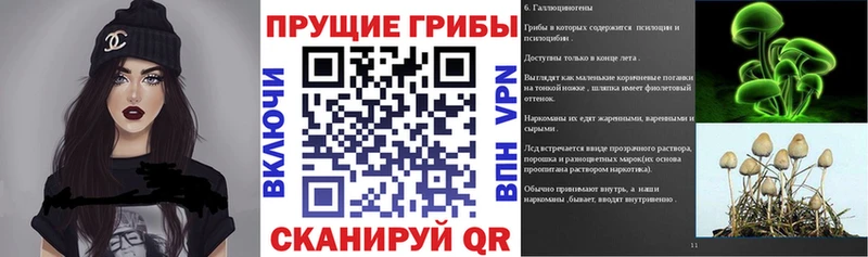 Псилоцибиновые грибы ЛСД  Тюкалинск 